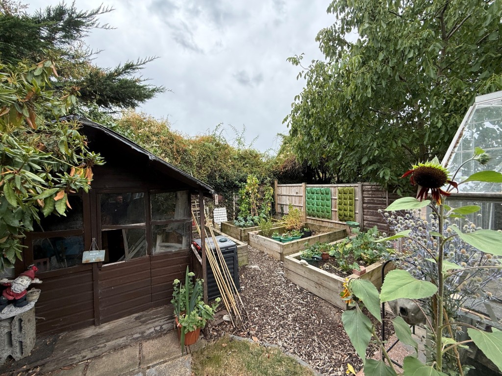 Lot: 84 - SEMI-DETACHED HOUSE FOR IMPROVEMENT - Vegetable patch and shed at the bottom of the garden